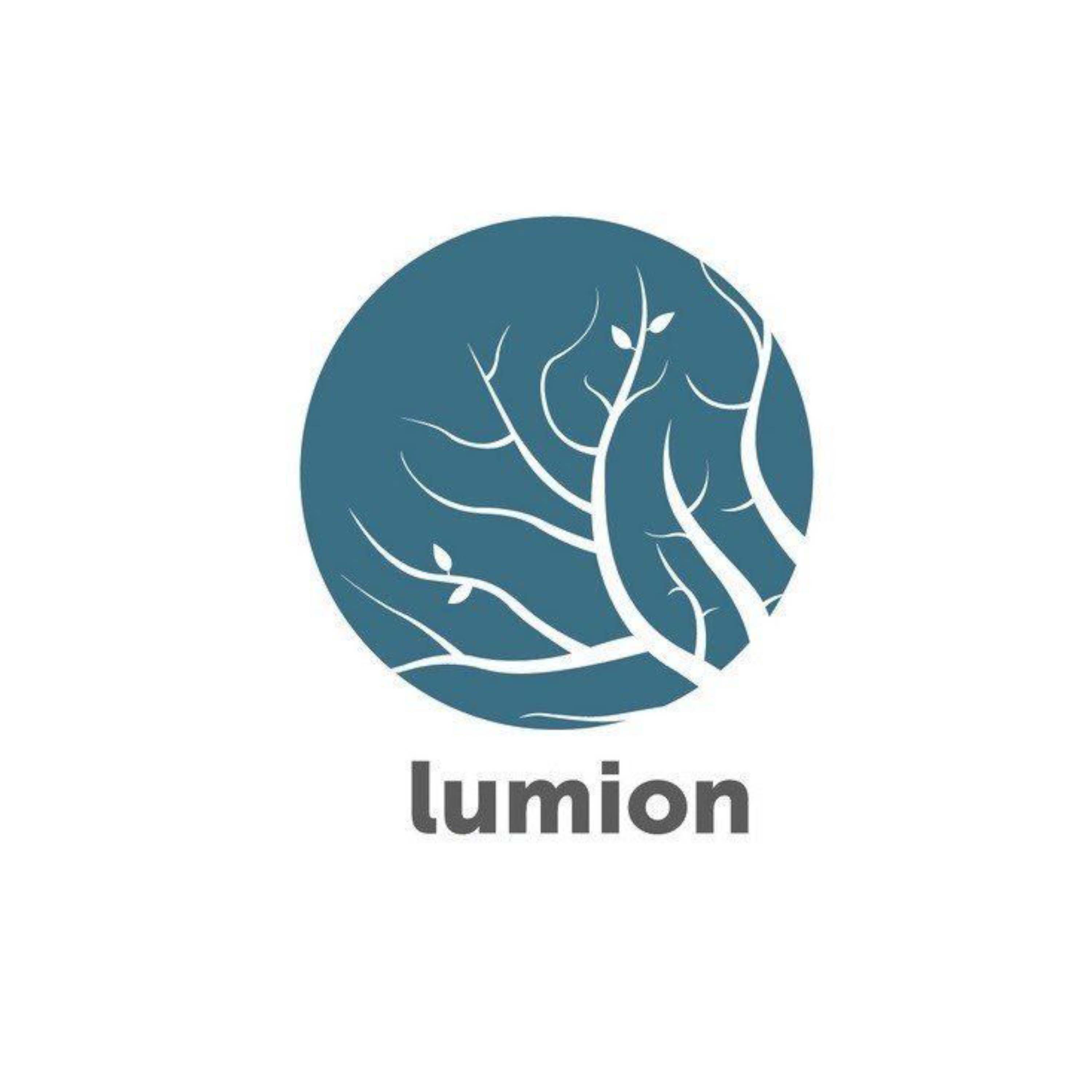 Lumion